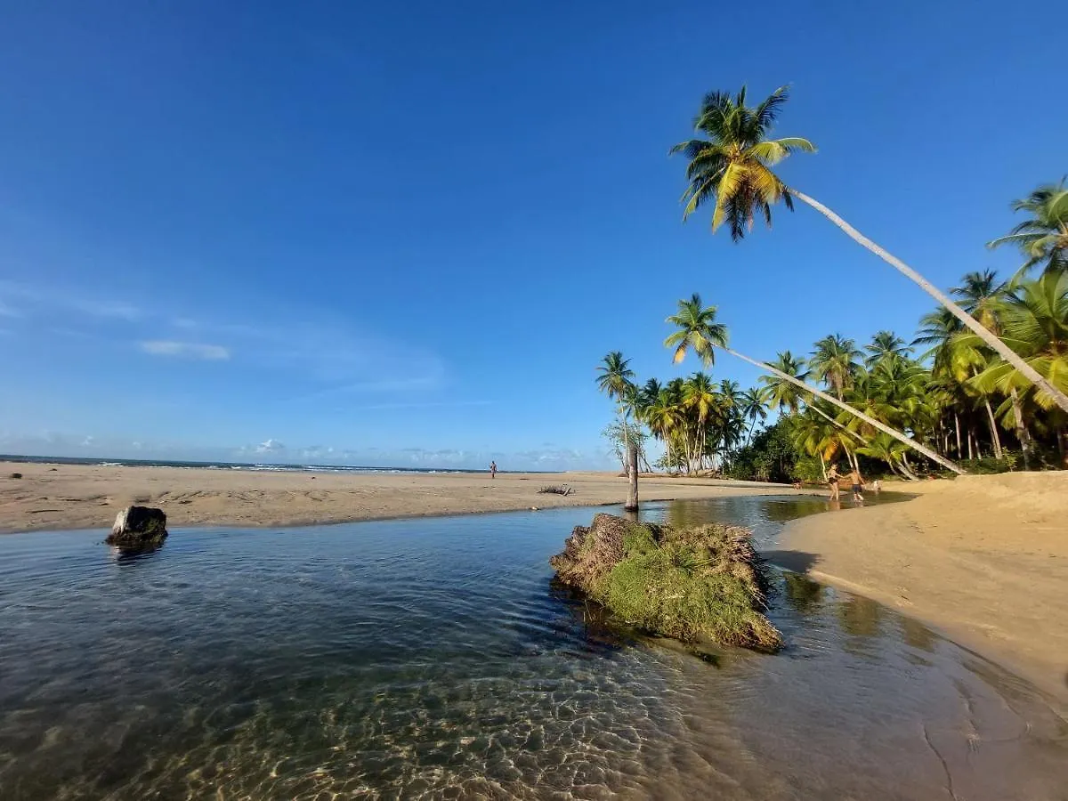 Charming 1 Bdr Apt W/ Pool 5Min Popi Beach Apartment Las Terrenas