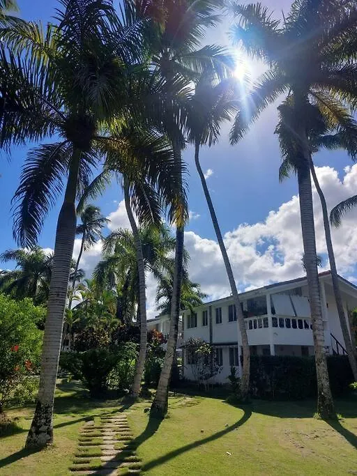 Charming 1 Bdr Apt W/ Pool 5Min Popi Beach Apartment Las Terrenas Dominican Republic