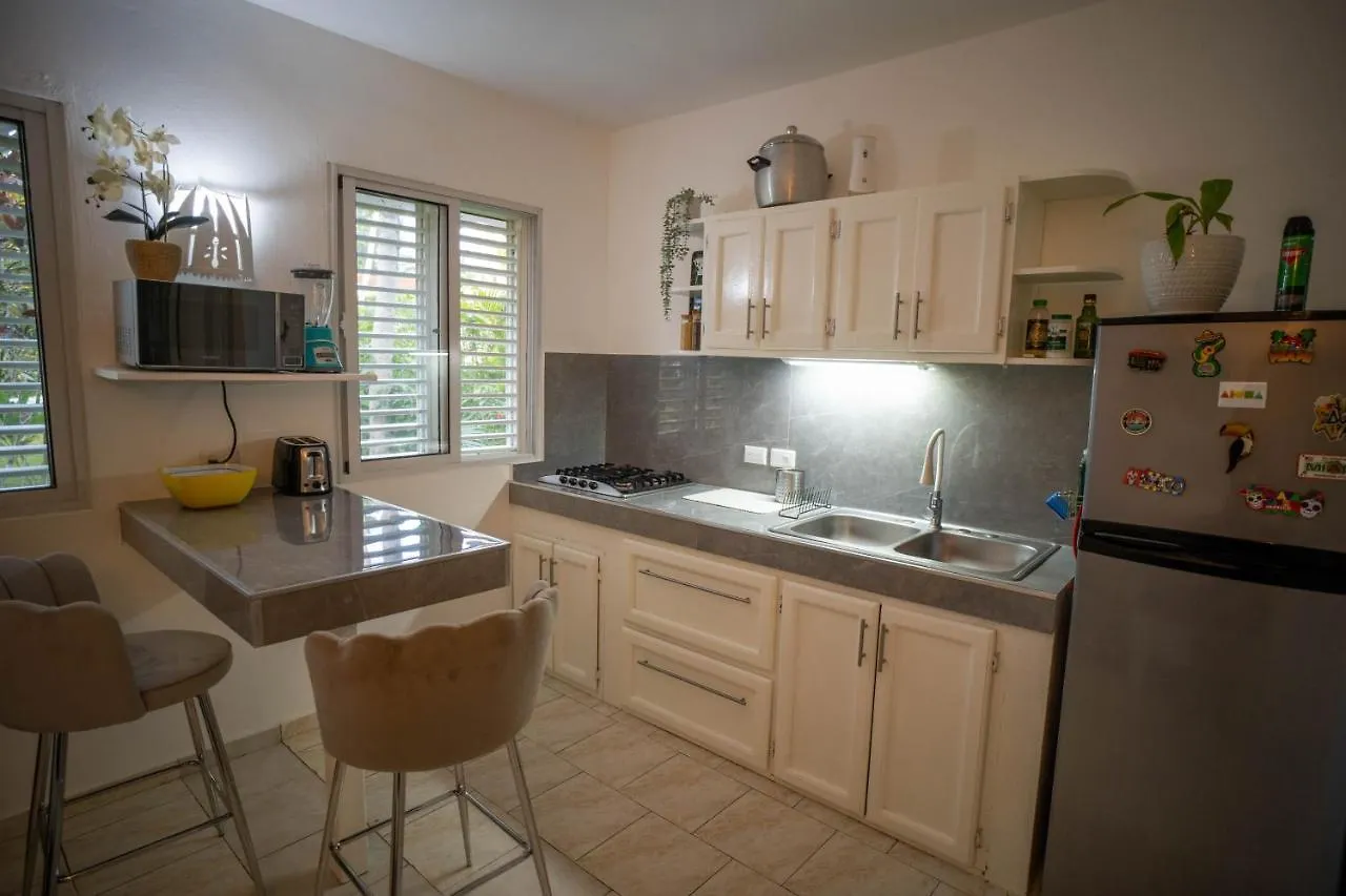 Charming 1 Bdr Apt W/ Pool 5Min Popi Beach Apartment Las Terrenas